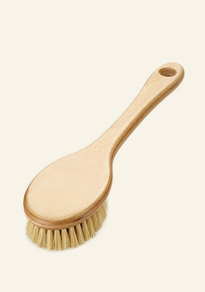 Brosse en Cactus